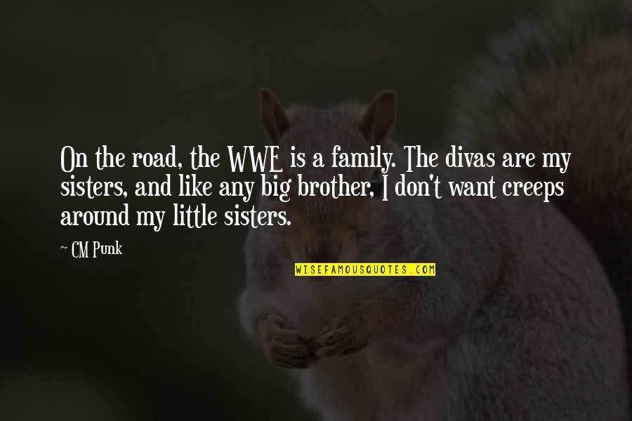 Big Brother And Little Sister Quotes By CM Punk: On the road, the WWE is a family.