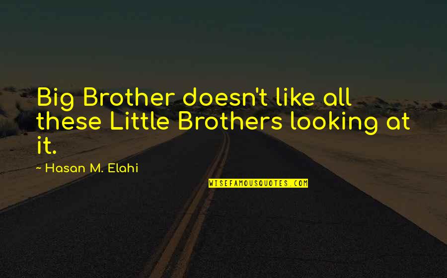 Big Brother Little Brother Quotes By Hasan M. Elahi: Big Brother doesn't like all these Little Brothers