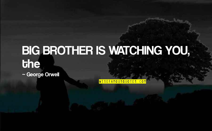 Big Brother Watching You Quotes By George Orwell: BIG BROTHER IS WATCHING YOU, the