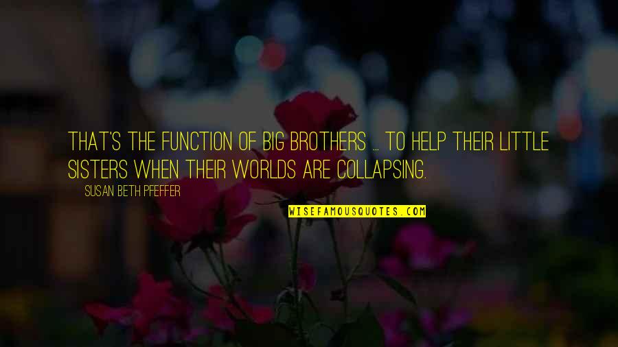 Big Brothers And Little Sisters Quotes By Susan Beth Pfeffer: That's the function of big brothers ... to