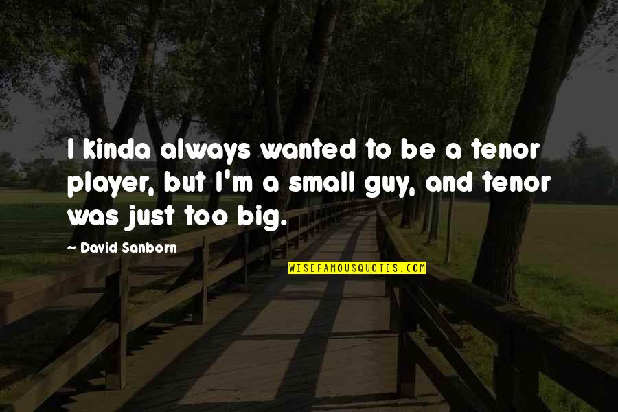 Big But Quotes By David Sanborn: I kinda always wanted to be a tenor