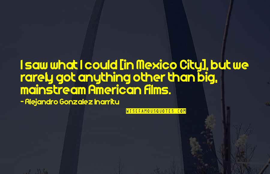 Big City Quotes By Alejandro Gonzalez Inarritu: I saw what I could [in Mexico City],