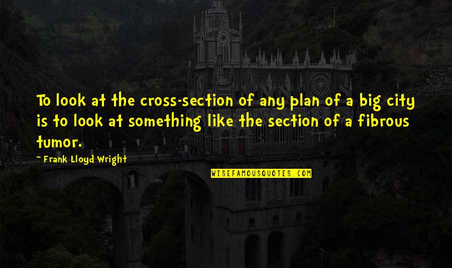 Big City Quotes By Frank Lloyd Wright: To look at the cross-section of any plan