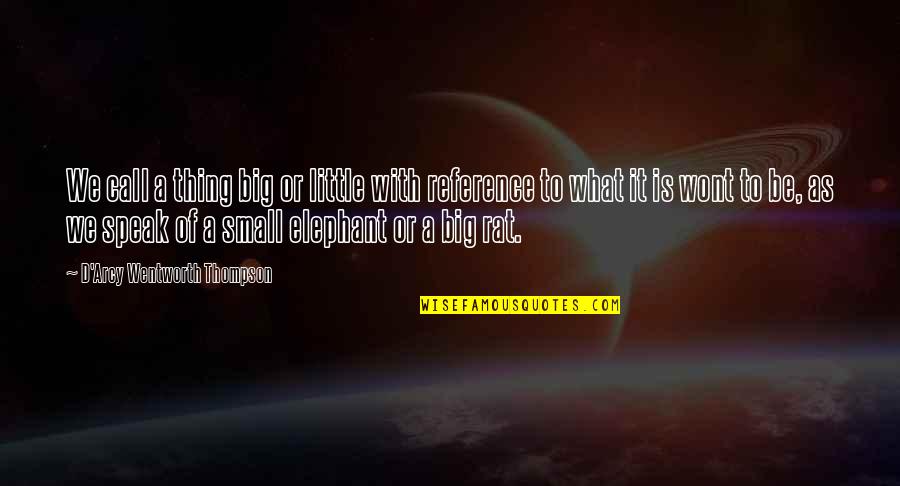 Big D Quotes By D'Arcy Wentworth Thompson: We call a thing big or little with Big D Quotes By D'Arcy Wentworth Thompson: We call a thing big or little with