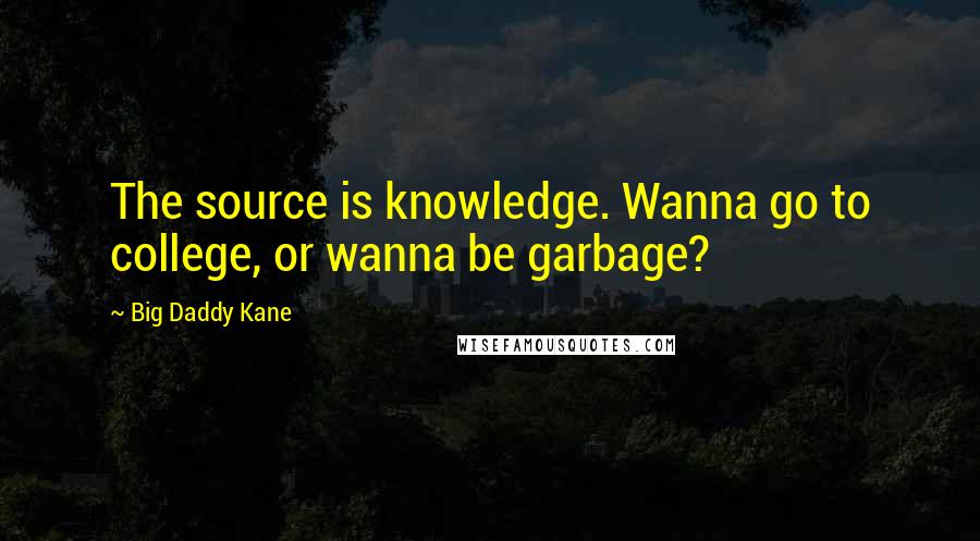 Big Daddy Kane quotes: The source is knowledge. Wanna go to college, or wanna be garbage?