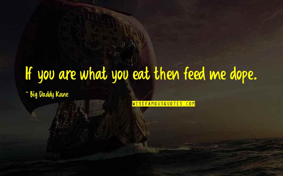 Big Daddy Quotes By Big Daddy Kane: If you are what you eat then feed