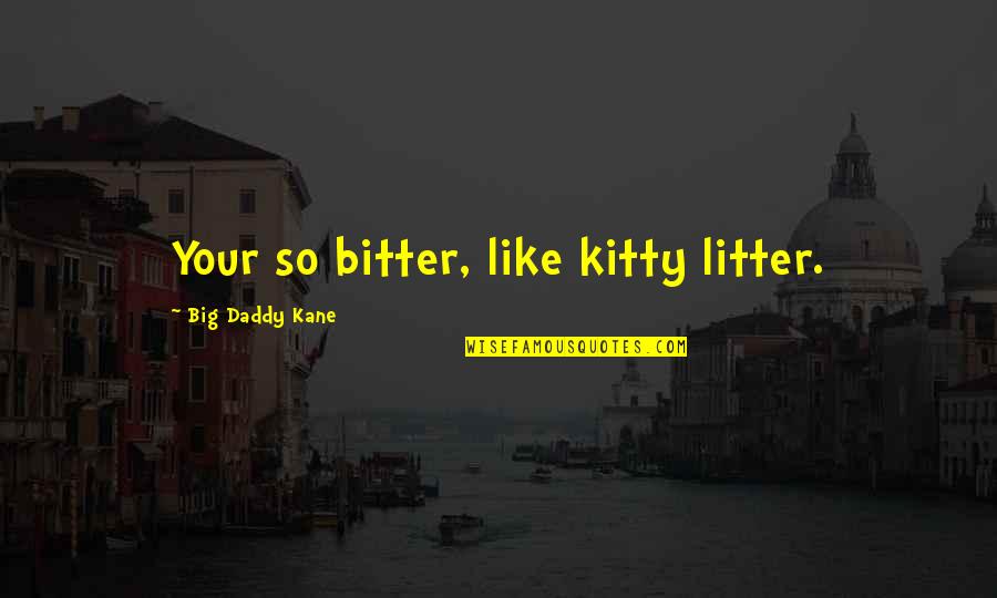 Big Daddy Quotes By Big Daddy Kane: Your so bitter, like kitty litter.