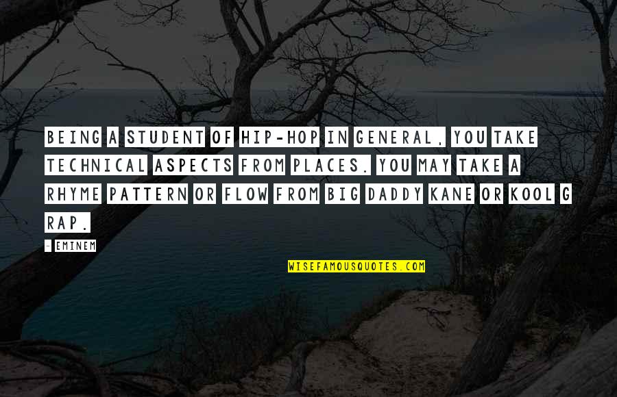 Big Daddy Quotes By Eminem: Being a student of hip-hop in general, you