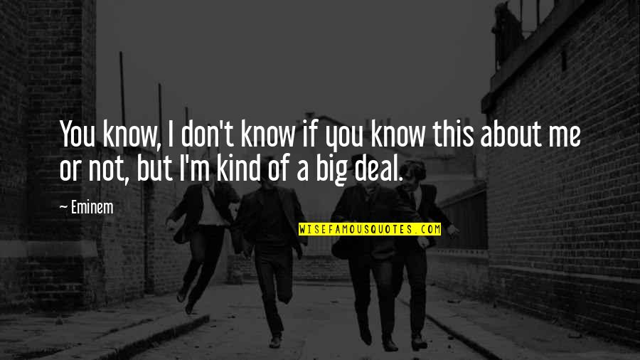 Big Deal Quotes By Eminem: You know, I don't know if you know