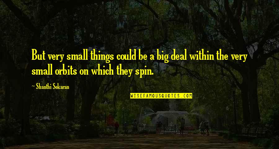 Big Deal Quotes By Shanthi Sekaran: But very small things could be a big