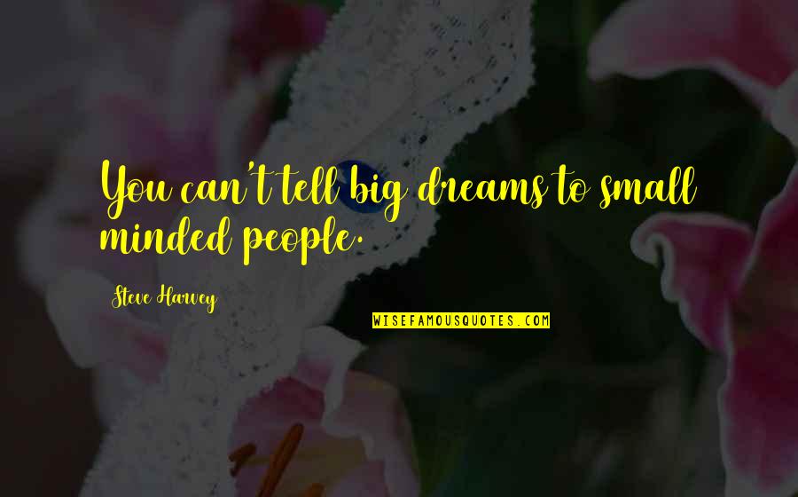 Big Dreams Quotes By Steve Harvey: You can't tell big dreams to small minded