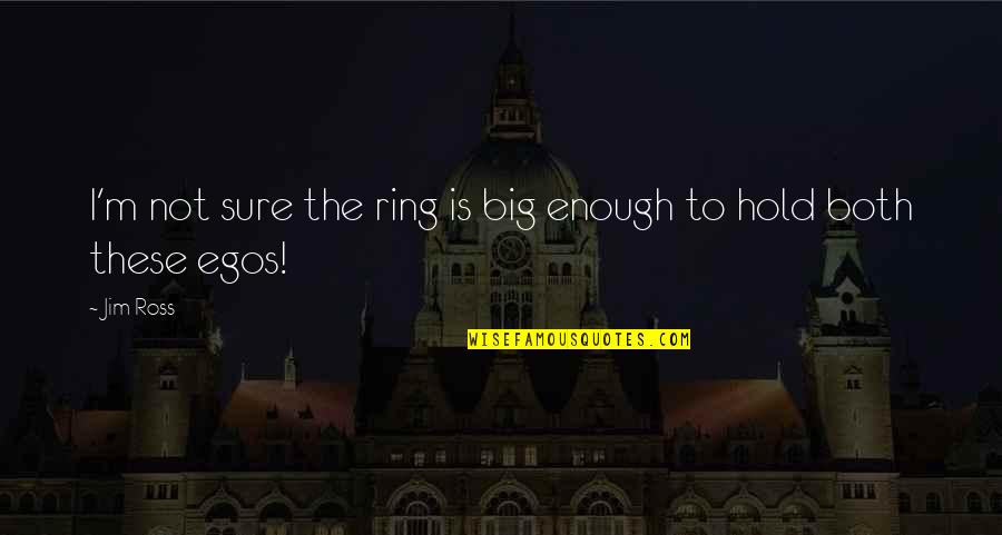 Big Ego Quotes By Jim Ross: I'm not sure the ring is big enough