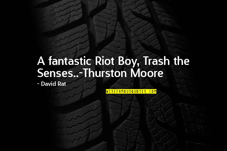 Big Enough Meme Quotes By David Rat: A fantastic Riot Boy, Trash the Senses..-Thurston Moore