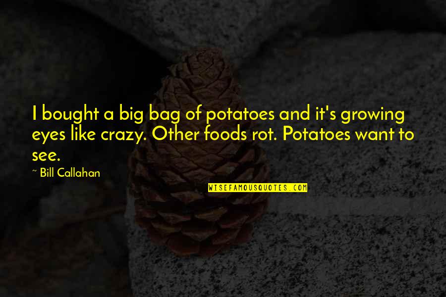 Big Eyes Quotes By Bill Callahan: I bought a big bag of potatoes and