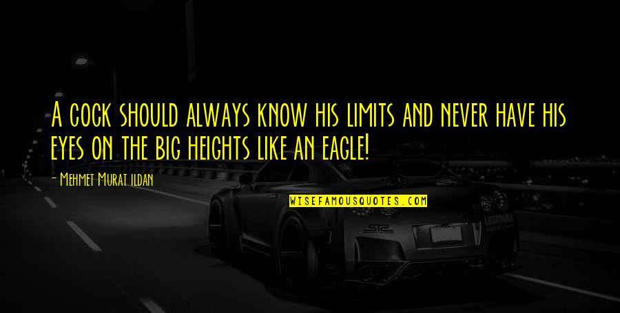 Big Eyes Quotes By Mehmet Murat Ildan: A cock should always know his limits and