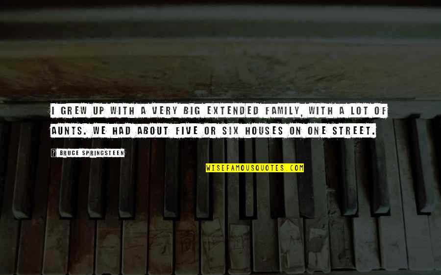 Big Family Quotes By Bruce Springsteen: I grew up with a very big extended