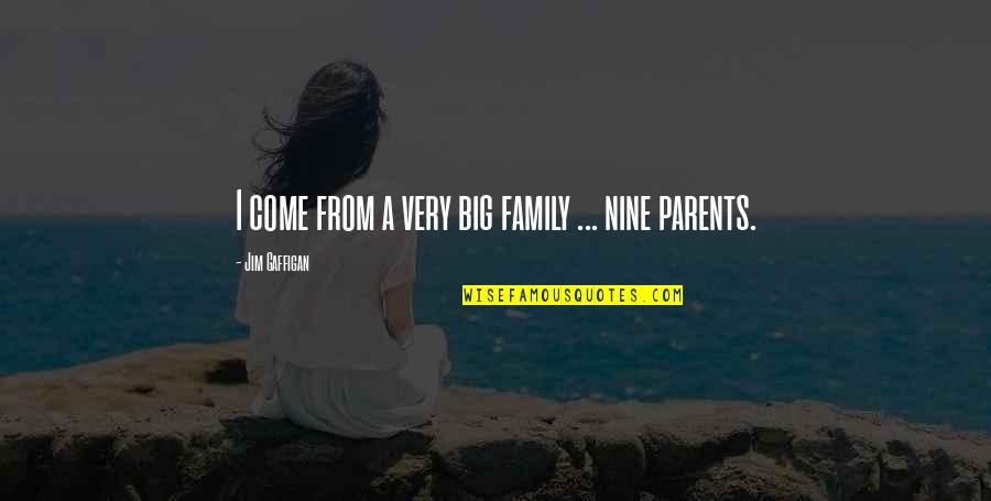 Big Family Quotes By Jim Gaffigan: I come from a very big family ...