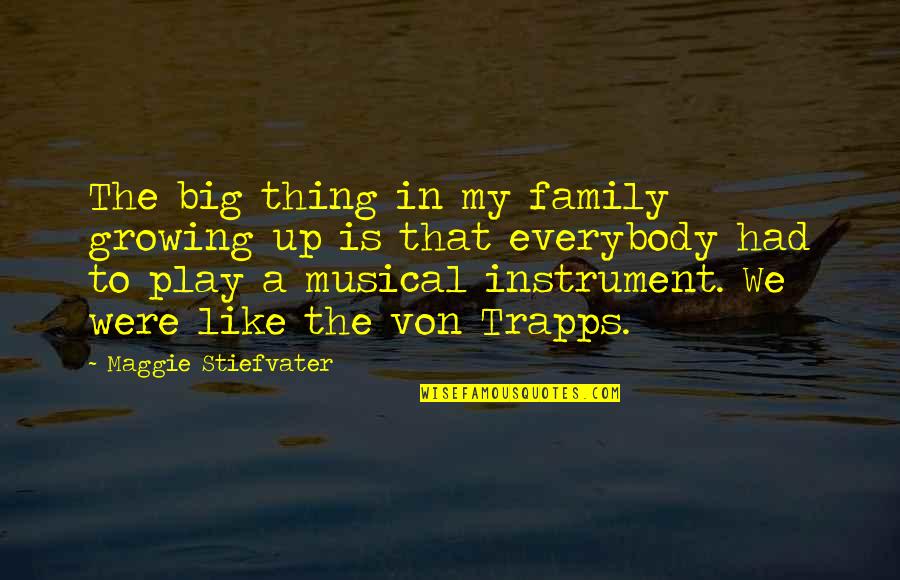 Big Family Quotes By Maggie Stiefvater: The big thing in my family growing up