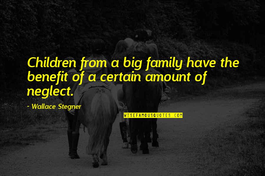 Big Family Quotes By Wallace Stegner: Children from a big family have the benefit