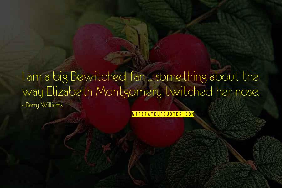 Big Fan Quotes By Barry Williams: I am a big Bewitched fan ... something