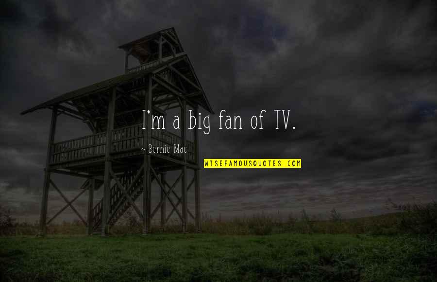Big Fan Quotes By Bernie Mac: I'm a big fan of TV.
