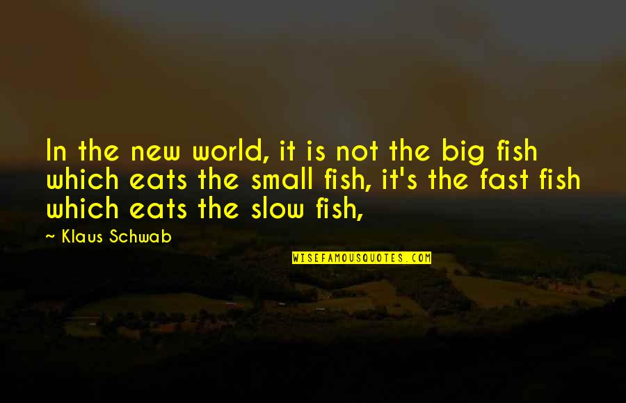 Big Fish Small Fish Quotes By Klaus Schwab: In the new world, it is not the