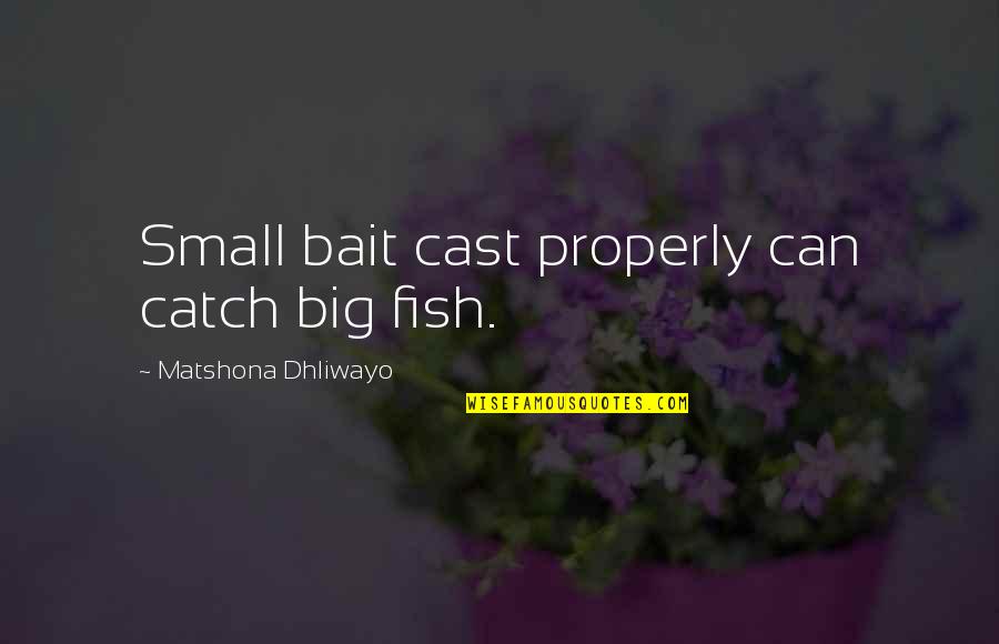 Big Fish Small Fish Quotes By Matshona Dhliwayo: Small bait cast properly can catch big fish.