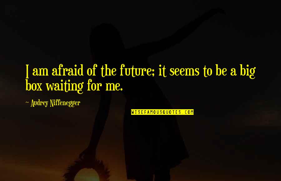 Big Future Quotes By Audrey Niffenegger: I am afraid of the future; it seems