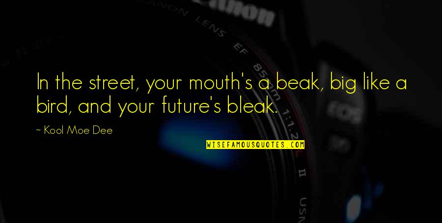 Big Future Quotes By Kool Moe Dee: In the street, your mouth's a beak, big