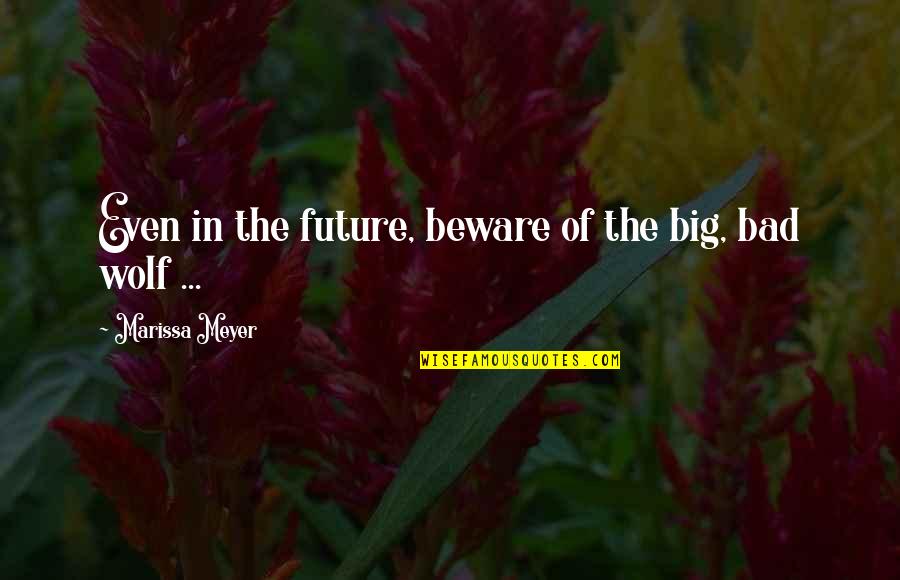 Big Future Quotes By Marissa Meyer: Even in the future, beware of the big,