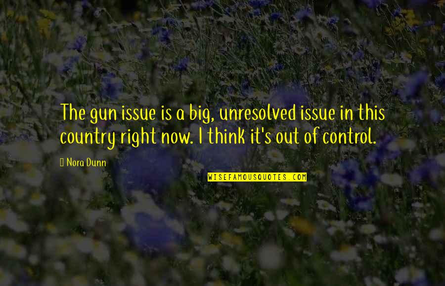 Big Gun Quotes By Nora Dunn: The gun issue is a big, unresolved issue