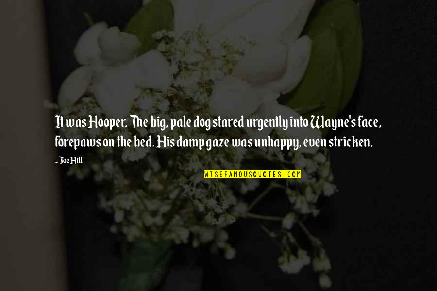 Big Hill Quotes By Joe Hill: It was Hooper. The big, pale dog stared