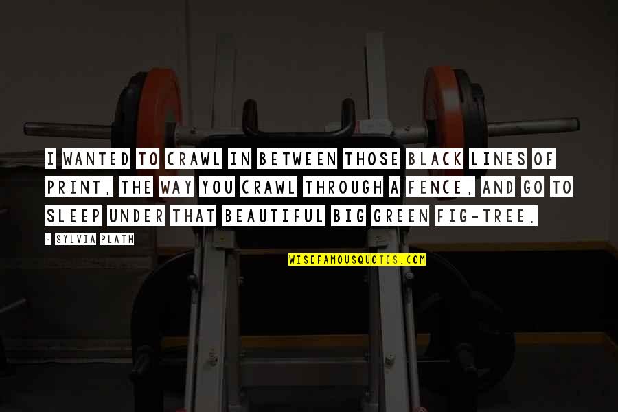 Big Is Beautiful Quotes By Sylvia Plath: I wanted to crawl in between those black Big Is Beautiful Quotes By Sylvia Plath: I wanted to crawl in between those black