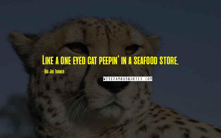 Big Joe Turner quotes: Like a one eyed cat peepin' in a seafood store.