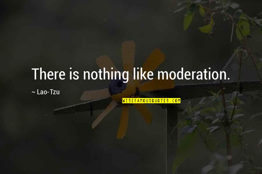 Big Macintosh Quotes By Lao-Tzu: There is nothing like moderation.