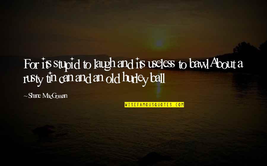 Big Macintosh Quotes By Shane MacGowan: For its stupid to laugh and its useless