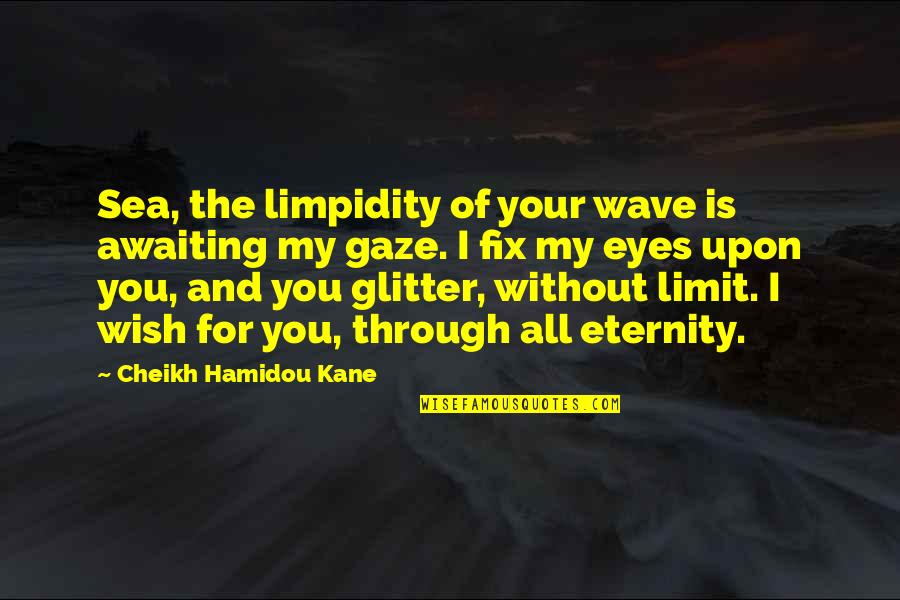 Big Magic Book Quotes By Cheikh Hamidou Kane: Sea, the limpidity of your wave is awaiting