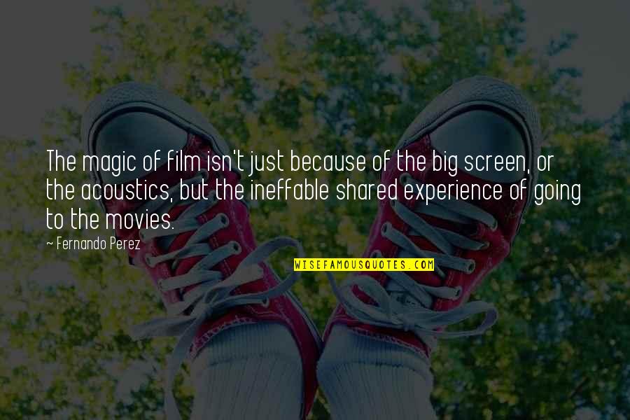 Big Magic Quotes By Fernando Perez: The magic of film isn't just because of