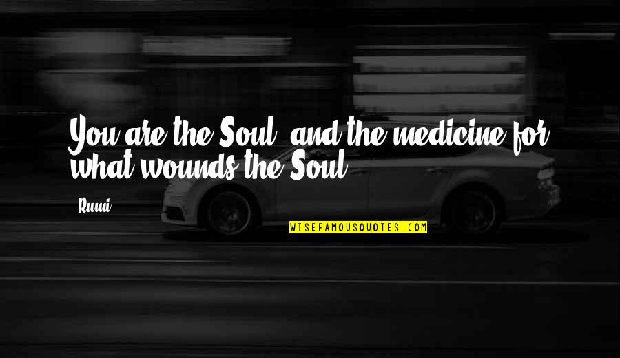 Big Momma's House 3 Quotes By Rumi: You are the Soul and the medicine for