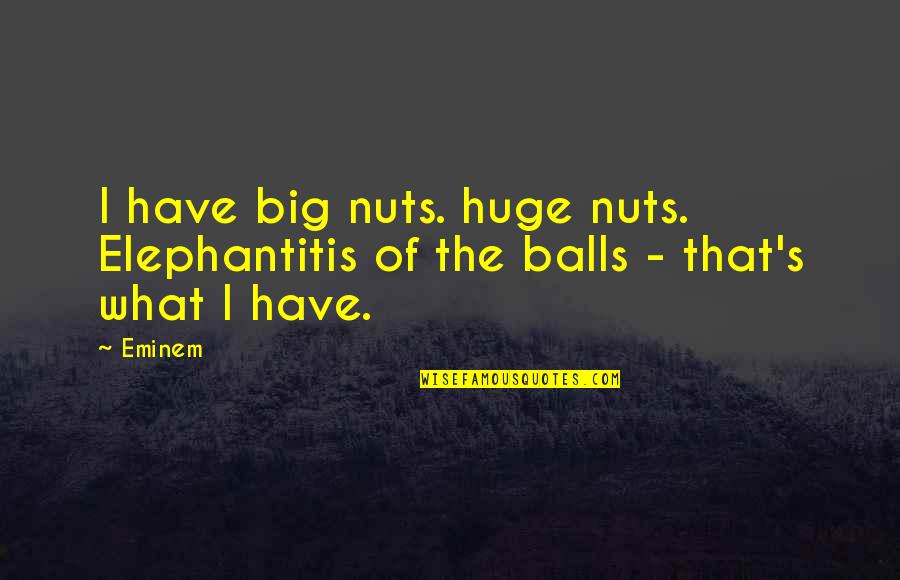 Big Nuts Quotes By Eminem: I have big nuts. huge nuts. Elephantitis of