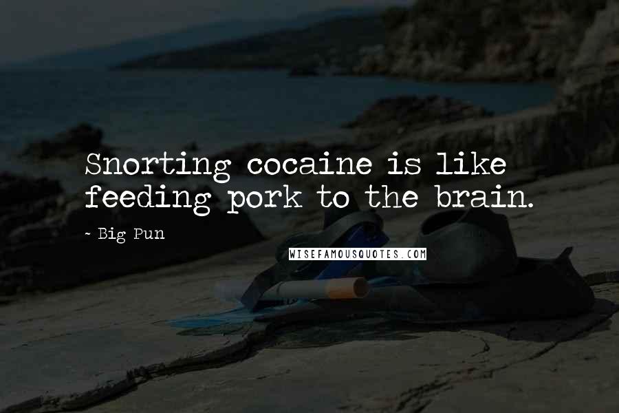 Big Pun quotes: Snorting cocaine is like feeding pork to the brain.