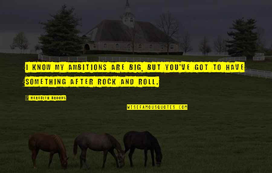 Big Rock Quotes By Meredith Brooks: I know my ambitions are big, but you've