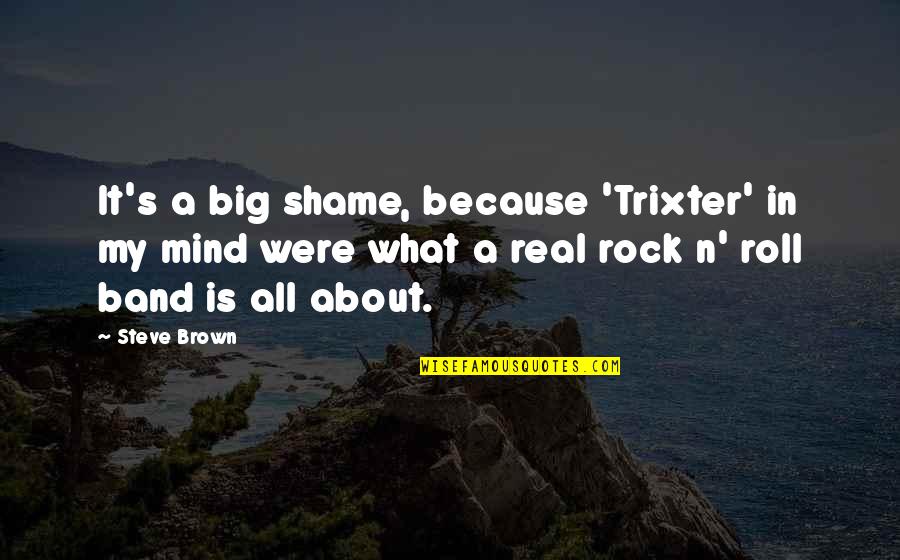 Big Rock Quotes By Steve Brown: It's a big shame, because 'Trixter' in my