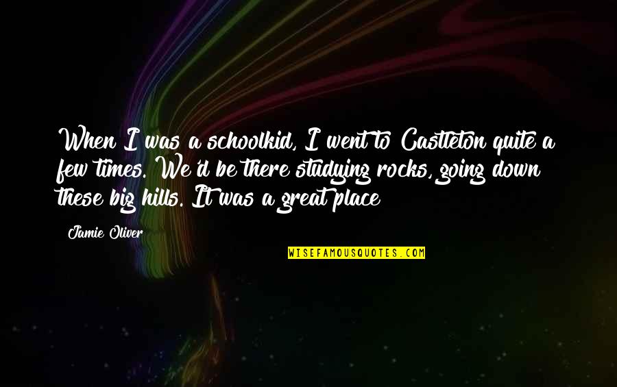 Big Rocks Quotes By Jamie Oliver: When I was a schoolkid, I went to Big Rocks Quotes By Jamie Oliver: When I was a schoolkid, I went to