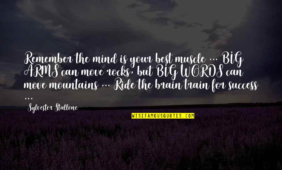 Big Rocks Quotes By Sylvester Stallone: Remember the mind is your best muscle ...