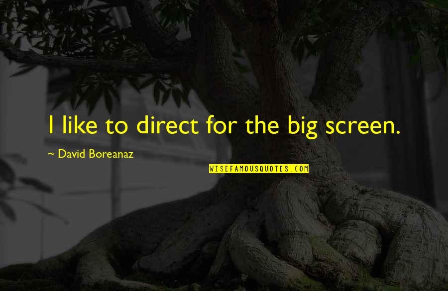 Big Screen Quotes By David Boreanaz: I like to direct for the big screen.