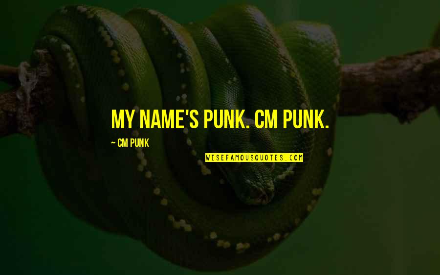 Big Sean Ashley Quotes By CM Punk: My name's Punk. CM Punk.