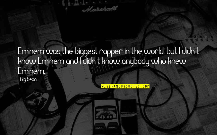 Big Sean Quotes By Big Sean: Eminem was the biggest rapper in the world,
