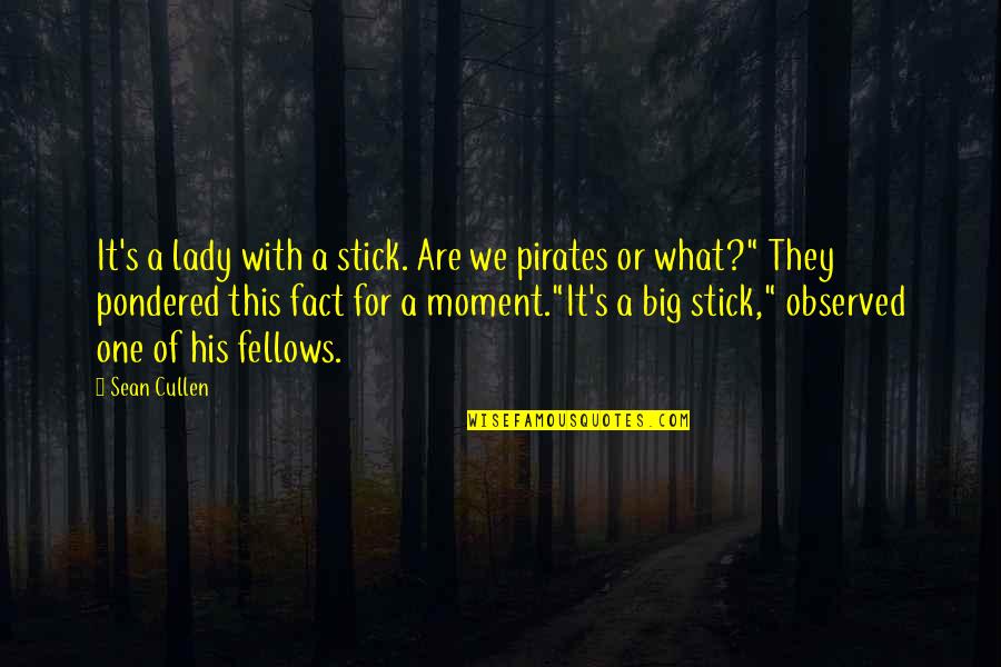 Big Sean Quotes By Sean Cullen: It's a lady with a stick. Are we Big Sean Quotes By Sean Cullen: It's a lady with a stick. Are we