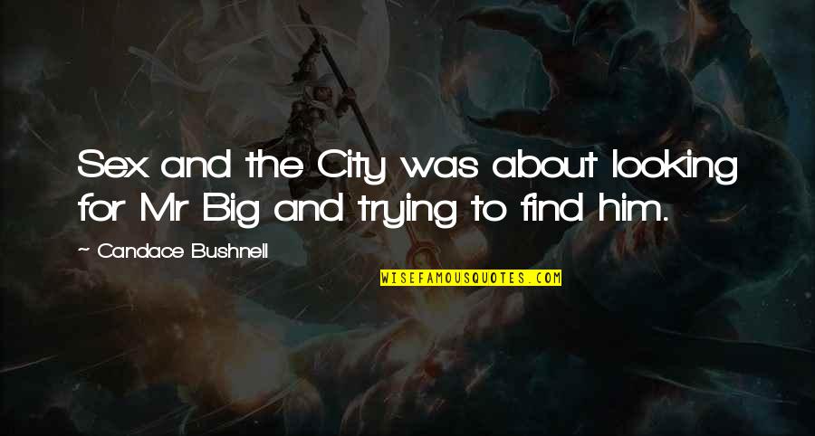 Big Sex And The City Quotes By Candace Bushnell: Sex and the City was about looking for